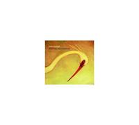 ADAM RUDOLPH: MORPHIC RESONANCES - CD
