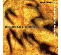 Adam Rudolph Resonant Bodies (CD) (US IMPORT)