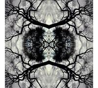 Adam Rudolph - Sonic Mandala (2