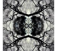 Adam Rudolph - Sonic Mandala - Adam Rudolph & Go: Organic Orchestra