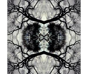 Adam Rudolph - Sonic Mandala - Adam Rudolph & Go: Organic Orchestra