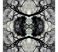 Adam Rudolph - Sonic Mandala - Adam Rudolph & Go: Organic Orchestra