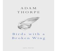 Adam Thorpe Birds With A Broken Wing Paperback Book Adam Thorpe Multicolor