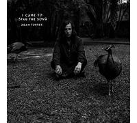 Adam Torres - I Came To Sing The Song [7" VINYL]