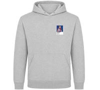 Adam Wharton Crystal Palace Icon Frame Men's Hoodie - Gray / 3XL