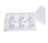 ADAMAS-BETA 6-Well Sterile Culture Plate, TC Treated Cell Culture Plates Tissue Culture Treated Plate, Individually Wrapped, Pack of 10