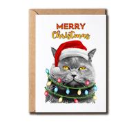 AdamLongStore Merry Christmas Cat Santa Christmas Tree Lights Xmas Meowy Catmas Card - Funny Christmas Card - Great Card Christmas For Family And Friend - Christmas Gifts