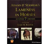 ADAMS AND STASHAK S LAMENESS IN H by Gary M. Baxter University of Georgia