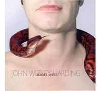 Adam's Apple by John Wesley Harding (2004-02-17)