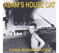 Adam's House Cat Town Burned Down LP Vinyl ATO0433 NEW