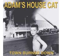 Adam's House Cat – Town Burned Down – Colored Gatefold 12" Vinyl LP