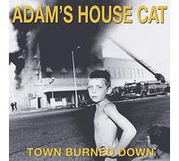 Adam's House Cat – Town Burned Down – Colored Gatefold 12" Vinyl LP