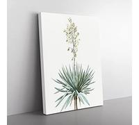 Adams Needle Yucca Flowers By Pierre Joseph Redoute Vintage Canvas Wall Art Print Ready to Hang, Framed Picture for Living Room Bedroom Home Office Décor, 76x50 cm (30x20 Inch)