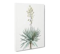 Adams Needle Yucca Flowers By Pierre Joseph Redoute Vintage Canvas Wall Art Print Ready to Hang, Framed Picture for Living Room Bedroom Home Office Décor, 30x20 Inch (76x50 cm)