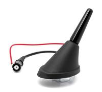 Adapter-Universe Short Car Rod Aerial Roof Antenna 3 cm 16V with Socket RAKU 2 + M4, M5, M6 thread + Integrated Amplifier Set for Universal Black Radio