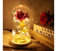 ADAZ 24K Eternal Rose for Women/Wife/Grandma/Girlfriend for Her Rose Flower Artificial Roses in Glass Dome with LED Light Strip on Mother's Day Valentine's Day,Anniversary