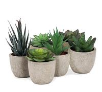 addhome Artificial Plant Set | Set of 6 Succulent Plants Made of Realistic Look | in Sturdy and Non-Slip Planters | Decorative Plants for Indoor Use