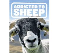 Addicted to Sheep