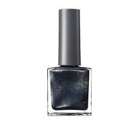 ADDICTION - The Magnet Nail Polish 007MG Rain Song