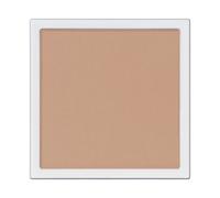 ADDICTION - The Single Eyeshadow Matte 004M Main Team