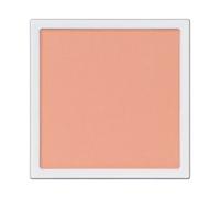 ADDICTION - The Single Eyeshadow Matte 006M New Skills