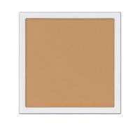 ADDICTION - The Single Eyeshadow Matte 009M On Location