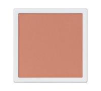 ADDICTION - The Single Eyeshadow Matte 010M Same School