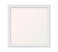 ADDICTION - The Single Eyeshadow Naked Sheer 002N Over the Cloud