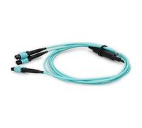 AddOn Networks ADD-16FMPO-2MPO20M5OM4 InfiniBand/fibre optic cable 20