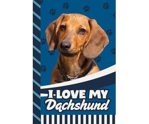 Address and Password Book Combo: Hardcover / Large Print / Discreet / Log Home - Email Addresses - Phone Numbers / Track Birthdays / Web Login Keeper ... Seniors / Brown Dachshund - Dog Lover Cover