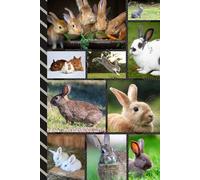 Address and Password Book Combo: Large Print | Discreet | Log Emails - Addresses - Phone Numbers - Birthdays - Web Login | Small Contact Keeper | Great Gift For Seniors | Bunny Rabbit Cover