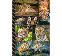 Address and Password Book Combo: Large Print | Discreet | Log Emails - Addresses - Phone Numbers - Birthdays - Web Login | Small Contact Keeper | Great Gift For Seniors | Tiger Lover Cover