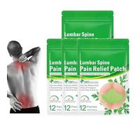 adeck Flexiback Lumbar Spine Pain Relief Patch, 24/36/48/60PCS Natural Back Pain Patches Help Your Back to Recover & Reverse The Damage (48PCS/4box)