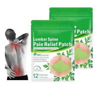 adeck Flexiback Lumbar Spine Pain Relief Patch, 24/36/48/60PCS Natural Back Pain Patches Help Your Back to Recover & Reverse The Damage (24PCS/2box)