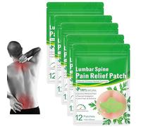adeck Flexiback Lumbar Spine Pain Relief Patch, 24/36/48/60PCS Natural Back Pain Patches Help Your Back to Recover & Reverse The Damage (60PCS/5box)