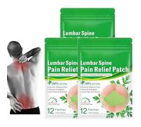 adeck Flexiback Lumbar Spine Pain Relief Patch, 24/36/48/60PCS Natural Back Pain Patches Help Your Back to Recover & Reverse The Damage (36PCS/3box)