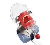 Adegbojo Dental Manikin Simulator Phantom Head with Detachable 28 Teeth Teaching Practice Model 180-Degree Rotatable Height Adjustable, Bandage Installation