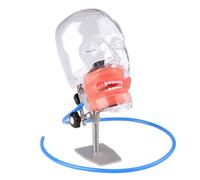 Adegbojo Dental Manikin Simulator Phantom Head with Detachable 28 Teeth Teaching Practice Model Head Base, Facemask & Drainage Tube
