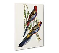 Adelaide Parakeet Birds By Elizabeth Gould Vintage Canvas Wall Art Print Ready to Hang, Framed Picture for Living Room Bedroom Home Office Décor, 30x20 Inch (76x50 cm)