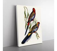 Adelaide Parakeet Birds By Elizabeth Gould Vintage Canvas Wall Art Print Ready to Hang, Framed Picture for Living Room Bedroom Home Office Décor, 76x50 cm (30x20 Inch)