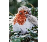 'Adele' Robin Plush Character 20 x 16cm - Junior Wrendale Designs Multi One Size
