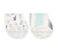 aden + anais™ Boutique Silky Soft Burpy Bibs 2 Pack Expedition