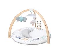 aden + anais Play + Discover Baby Activity Gym, 30+ Developmental Benefits, 3 Attachable Toys + Plush Tummy Time Pillow, 100% Cotton Muslin, Machine Washable, Print: rising star