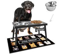 ADENGL Metal Raised Dog Bowl Stand for Large and Medium Dogs, Stronger Elevated Dog Bowls with Sprill Proof Mat, Dog Food & Water Bowls 10" Tall Dog Feeder (42OZ-Stainless Steel Dog Bowls, Mat-16x24)