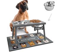 ADENGL Raised Dog Bowl Stand for Large Dogs, 10” Tall Elevated Feeder with Spill-Proof Mat, Stainless Steel 58OZ Bowls for Food & Water, Gray Color (Mat Size: 16x24”)
