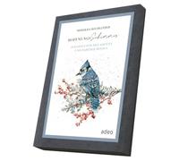 adeo HoffnungsSchimmer: 24 Postcards for Advent and Beyond