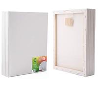 ADEPTNA Pack of 5 Artist Blank Stretched Canvas Frames - 100% Cotton Artist Quality Acid Free Triple Primed Gesso Stretched Canvas Frames with 40 Tightening Keys (30CM X 40CM)
