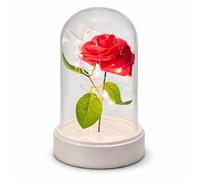 ADEPTNA Valentine’s LED Rose Cloche 19cm Romantic Eternal Artificial Red Rose in Glass Dome with Warm LED Fairy Lights Valentine’s Day Gift for Her, Anniversary, Birthday, Home Décor, Love Gift Ornam