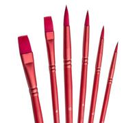 aderroo Acrylic Paint Brush Set, 6 pcs Watercolor Brushes, Painting Brush Nylon Hair Brushes for All Purpose Oil Watercolor Painting Beginner Kits (6, Red)