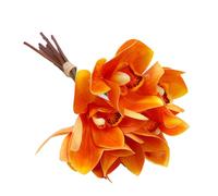 Adfaga Faux Orchid Decor 6 Stem Artificial Flexible Wire Stem Wedding Party Home Decor 3D Printed Orchid Arrangement 26cm Length 6 Blooms (Orange)
